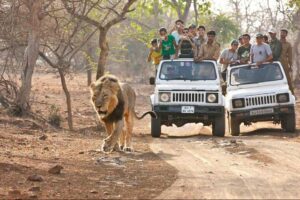 sanjay gandhi national park