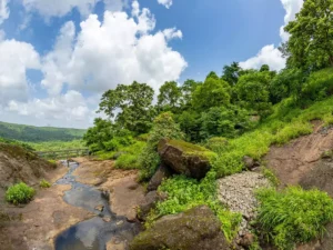 sanjay gandhi national park