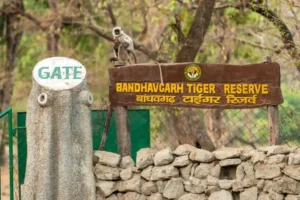 bandhavgarh national park