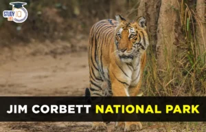 Jim Corbett National Park